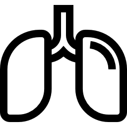 Lungs icon