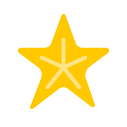 estrella de mar icono