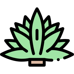 agave icon