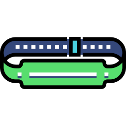 armband icon