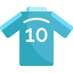 Shirt icon