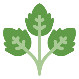 Parsley icon