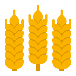 du blé Icône