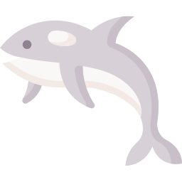 Orca icon