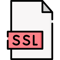 Ssl icon