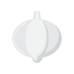 Garlic icon