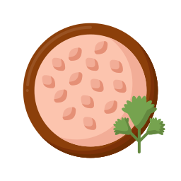 Coriander icon