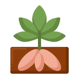 Yucca icon