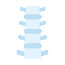 Spine icon