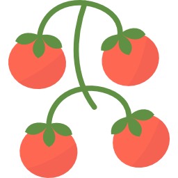 tomate icon