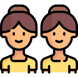 Twins icon