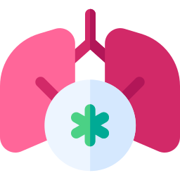 Lungs icon