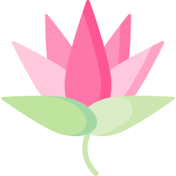 lotus icon