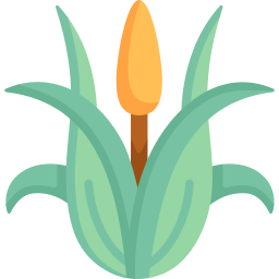 Corn icon