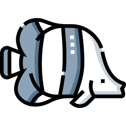 Fish icon