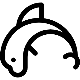 Dolphin icon