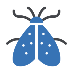 Insect icon