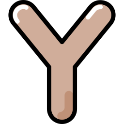 Letter y icon