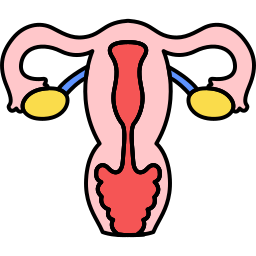 organo umano icona