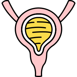 menselijk orgaan icoon