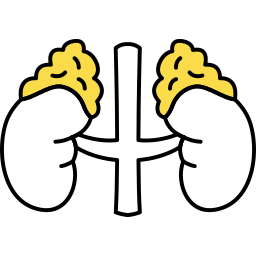 menschliches organ icon