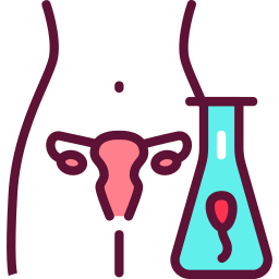 ginecología icono