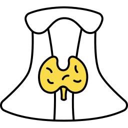 organo humano icono