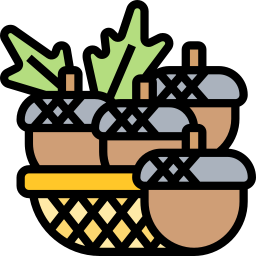 Acorn icon