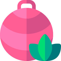 yoga ball icon