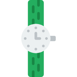 Wristwatch icon