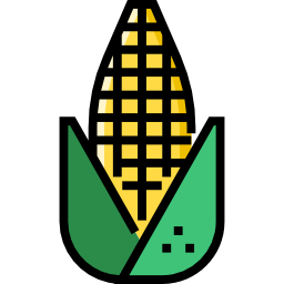 Corn icon