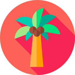 kokosnootboom icoon