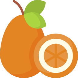 kumquat icon
