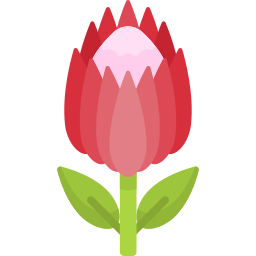 protea icon