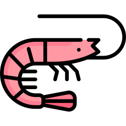 Shrimp icon