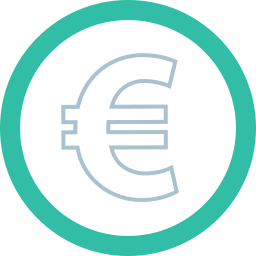 Euro icon