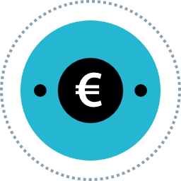 Euro icon