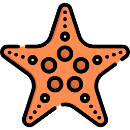 estrella de mar icono