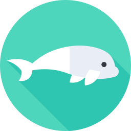 beluga icono