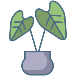 Rubber plant icon