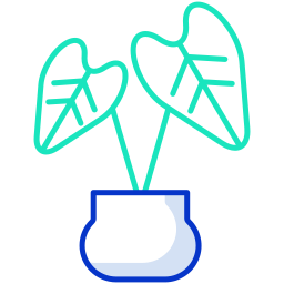 Rubber plant icon