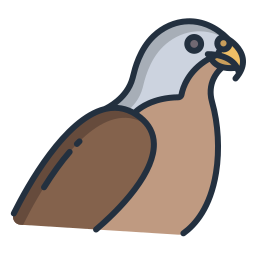 halcón icono