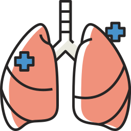 pulmones icono