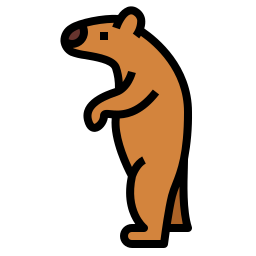 Bear icon