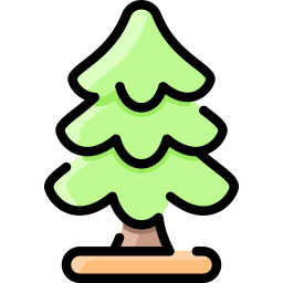 전나무 icon