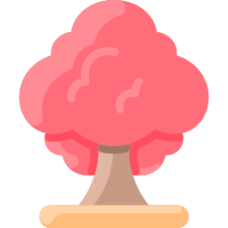 Maple icon