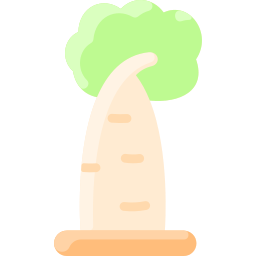 baobab ikona