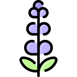 lavendel icon