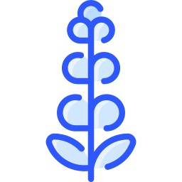 라벤더 icon