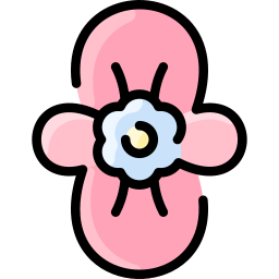 Begonia icon